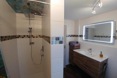 bagno con doccia, lavandino e specchio di Ferienhaus Bumblebee im Allgäu a Eggenthal