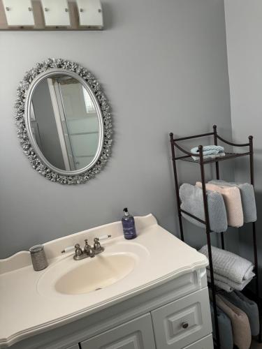 a bathroom with a sink and a mirror on the wall at Lazy Dayz Vacation Rental in Picton