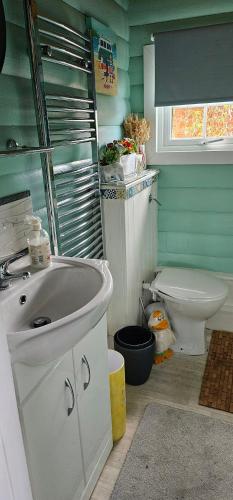 uma casa de banho com um lavatório e um WC em Snowdonia National park Log cabin with garden em Trawsfynydd