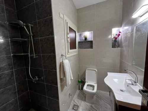 ein Bad mit einem Waschbecken, einem WC und einer Dusche in der Unterkunft Sadam luxury Guest House in Marsa Alam City