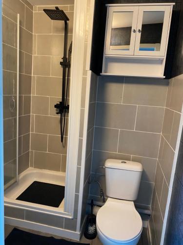 een badkamer met een toilet en een douche bij Appart’hôtel L’aiglon in Saint-Claude