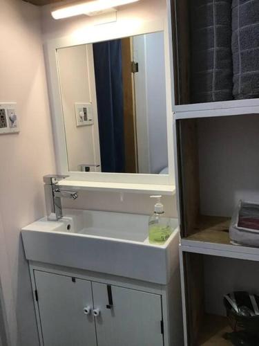 a bathroom with a white sink and a mirror at Le Remous in La Malbaie