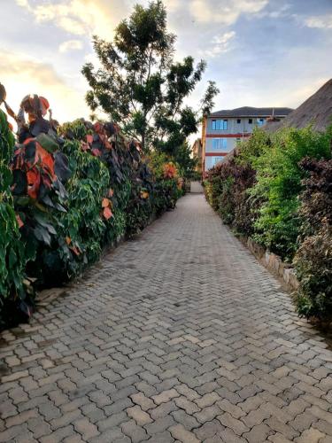 a cobblestone path with bushes and a tree at Galore Luxury Resort in Maseno
