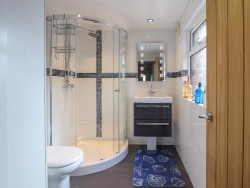 a bathroom with a shower and a sink and a toilet at May Cottage in Llanfyllin
