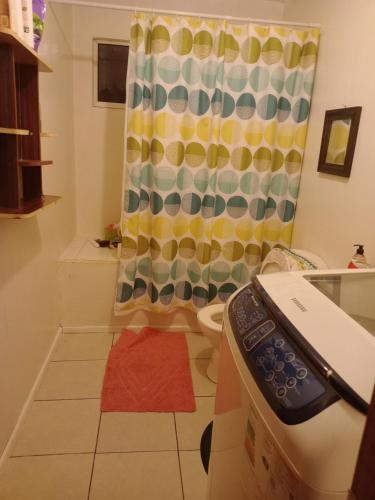 y baño con cortina de ducha y aseo. en Cabañas Carmencita, en Puerto Puyuhuapi