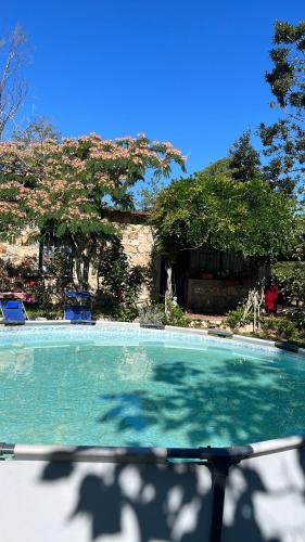 a large pool of water in a yard with trees at Cala Ginepro Tortoli in Bari Sardo
