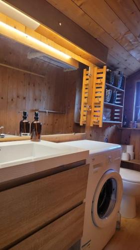 une salle de bain avec un lavabo et une machine à laver dans l'établissement Le Petit Chalet du Chinaillon, au Grand-Bornand