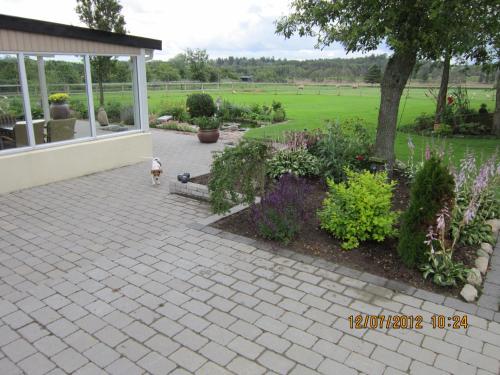 a dog walking on a brick patio with a garden at Bakkegården Homestay in Spottrup