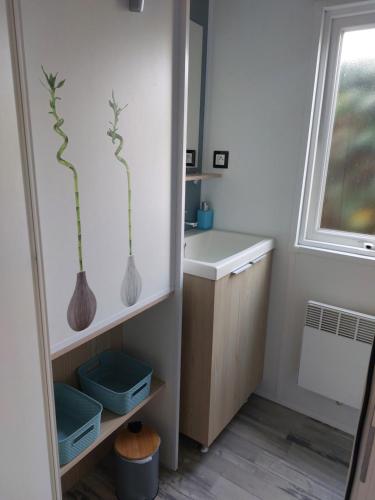 La salle de bains est pourvue d'un lavabo et de 2 vases sur le mur. dans l'établissement Mobil-home 