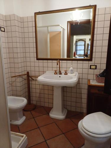 a bathroom with a sink and a toilet and a mirror at Agriturismo San GIovanni Ad Insulam in Isola del Gran Sasso dʼItalia