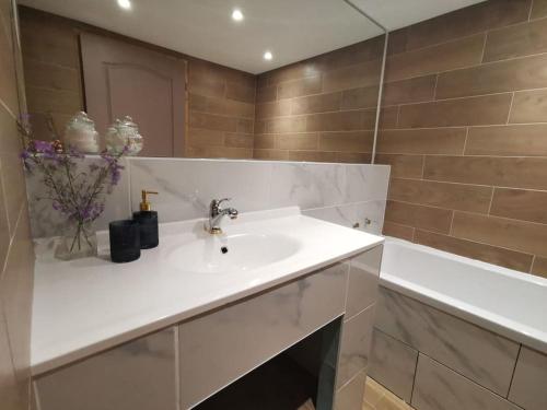 a bathroom with a white sink and a mirror at Rez de jardin in Puydaniel