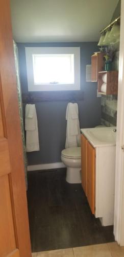 a bathroom with a toilet and a window and a sink at Sunshine in Gouldsboro