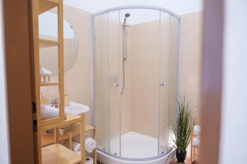 een badkamer met een douche en een wastafel bij U staré cesty in Horní Slavkov