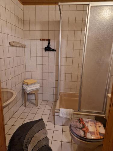 a bathroom with a shower and a toilet and a tub at Pension Arbersonne in Bayerisch Eisenstein