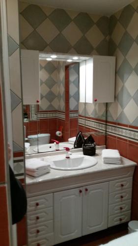 a bathroom with a sink and a large mirror at Résidence Villa Nova in Tiuccia