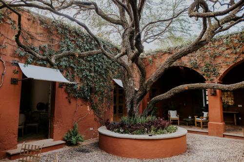 Hotel Casa de Quino en Querétaro