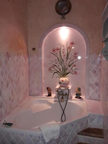 Entrevaux appartement avec vue