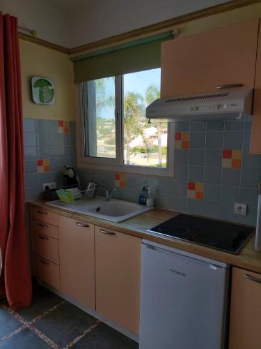 a kitchen with a sink and a window at Résidence Villa Nova in Tiuccia