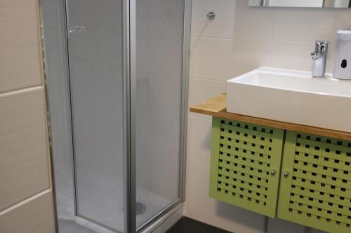 ein Bad mit einer Dusche und einem Waschbecken in der Unterkunft Natur Suite in Goslar