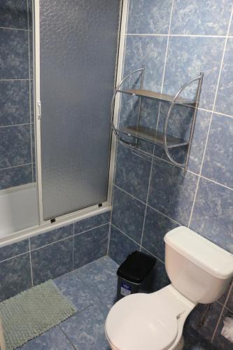 a bathroom with a toilet and a shower at Hotel Garden Wilson in Iquique