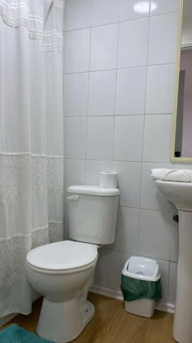 a white bathroom with a toilet and a sink at EL Lingue II in Puerto Varas