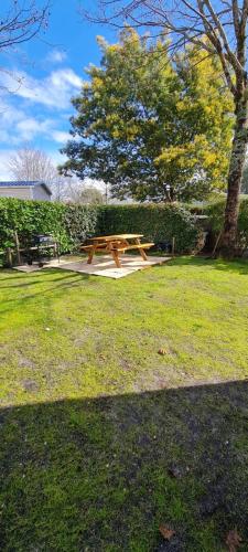a picnic table in a park with a tree at Mobil home neuf 693 à la réserve 8 personnes avec terrasse couverte in Gastes