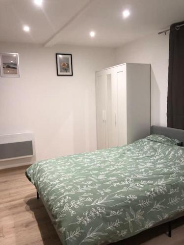1 dormitorio con 1 cama con edredón verde en Beau studio meublé refait à neuf Montélimar centre en Montélimar