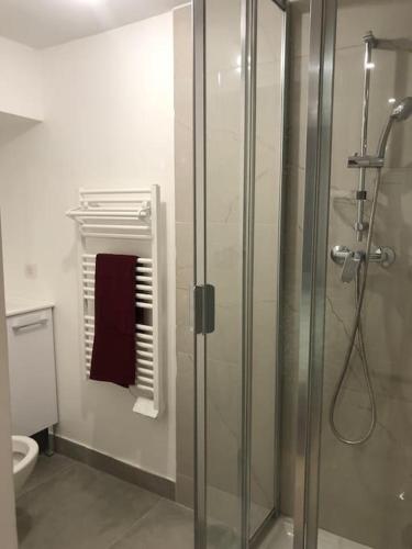 a bathroom with a shower and a toilet at Beau studio meublé refait à neuf Montélimar centre in Montélimar