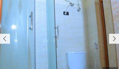 a bathroom with a shower and a toilet with a door at Obelisk Hotel Axum in Āksum