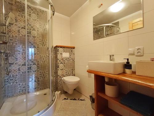 W łazience znajduje się toaleta, umywalka i prysznic. w obiekcie Dom na Smyrakach w Zawoi