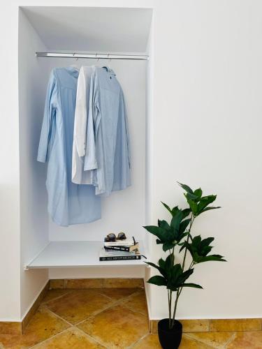 a closet with a shelf and a blue shirt and a plant at Ammoudeli Apartments in Plomarion