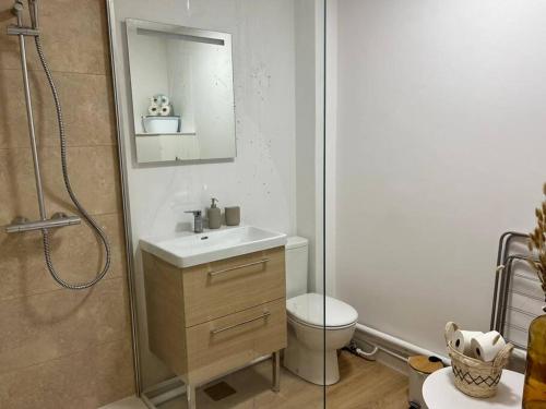 une salle de bain avec toilettes, lavabo et douche dans l'établissement Appartement cosy plein centre, à Douai