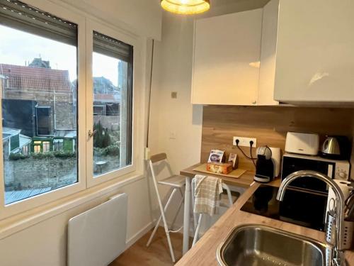 - une cuisine avec un évier et un comptoir avec une fenêtre dans l'établissement Appartement cosy plein centre, à Douai