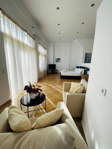 a living room with a couch and a table at Ammoudeli Apartments in Plomarion