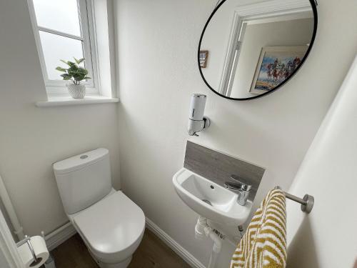 W łazience znajduje się biała toaleta i lustro. w obiekcie River Rose w mieście Fakenham