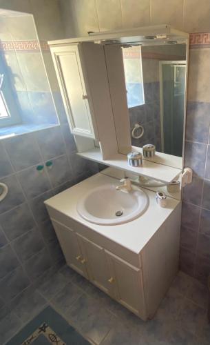 une salle de bain avec un lavabo et un miroir dans l'établissement Chambre d'Hôte Au Fil du Canal 82, à Valence