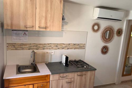 a kitchen with a sink and a stove in it at Maison des Brin - Lorient Camaruche in Saint Barthelemy