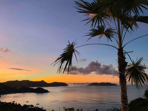 a palm tree with a sunset in the background at Maison des Brin - Lorient Camaruche in Quartier de Lorient