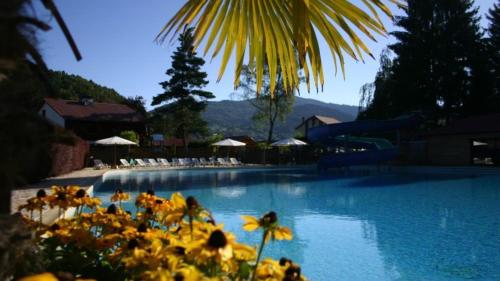 a large swimming pool with flowers in the foreground at Chalet 9 personnes, piscine, terrasse in Saint-Maurice-sur-Moselle