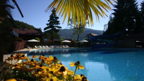 une grande piscine avec des fleurs au premier plan dans l'établissement Chalet 9 personnes, piscine, terrasse, à Saint-Maurice-sur-Moselle