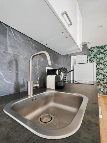 un comptoir de cuisine avec un évier dans une cuisine dans l'établissement Dolce Vita - Centre-ville - Paisible - Moderne, à Mulhouse