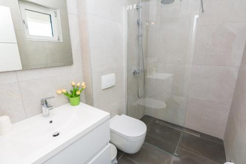 La salle de bains est pourvue d'une douche, de toilettes et d'un lavabo. dans l'établissement Villa Miri Lily, à Privlaka