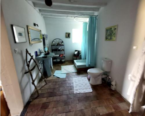 ein Bad mit einem WC und einem Waschbecken in der Unterkunft Chambre d'hôtes EPI in Ingrandes