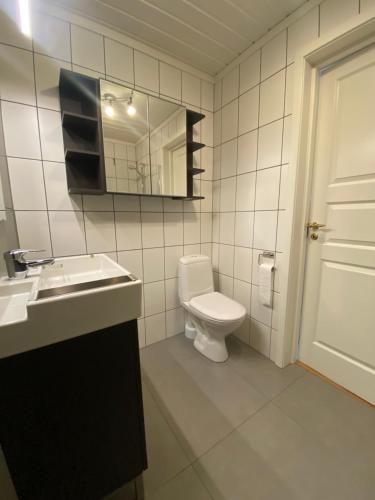 a bathroom with a toilet and a sink and a mirror at Sommerstad in Kongsberg