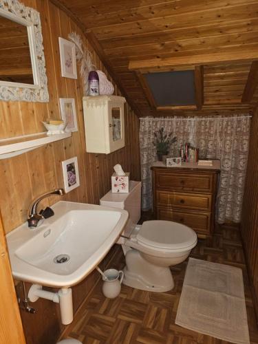 La salle de bains est pourvue de toilettes et d'un lavabo dans une cabine. dans l'établissement La Pergola, à Montreux