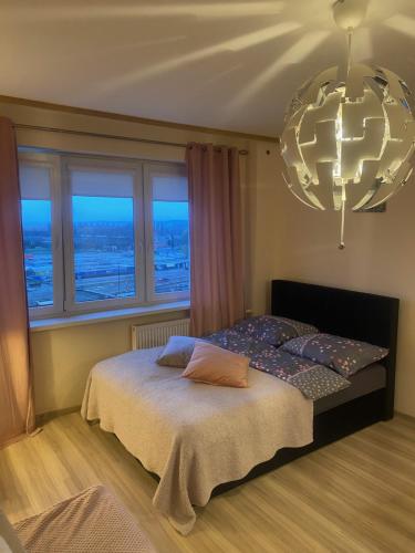 a bedroom with a bed and a large window at Studio Gdańsk Śródmieście in Gdańsk