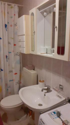y baño con aseo blanco y lavamanos. en Barbara en Bjelovar