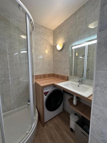 a bathroom with a washing machine and a sink at Appartement vue mer à 100m de la plage au centre de Carantec in Carantec