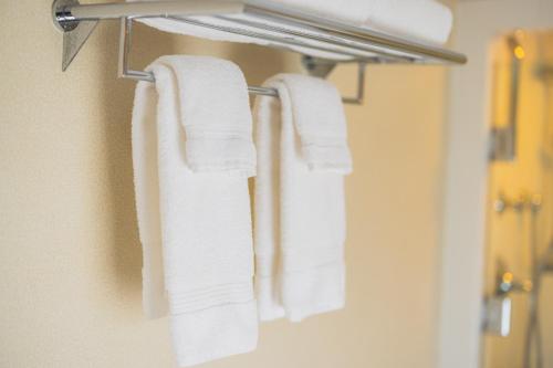 grupa ręczników wiszących na wieszaku na ręczniki w łazience w obiekcie Danfords Hotel & Marina w mieście Port Jefferson Station