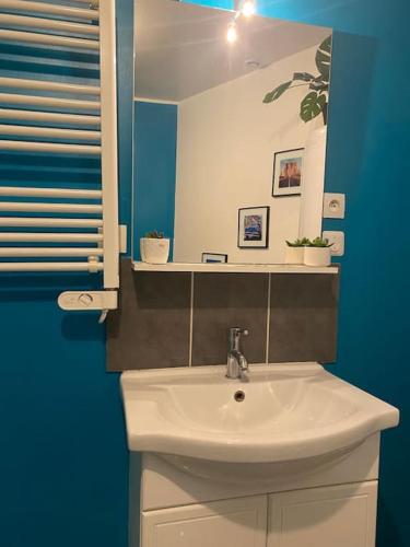 une salle de bain avec un lavabo blanc et un miroir dans l'établissement Agréable logement 2 chambres, à Saint-Saulve